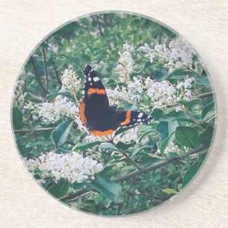 Roter Admiral Schmetterling Getränkeuntersetzer
