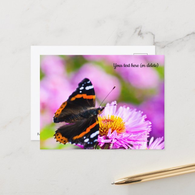 Roter Admiral Schmetterling Postkarte (Vorderseite/Rückseite Beispiel)