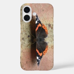 Roter Admiral Schmetterling title_seo2