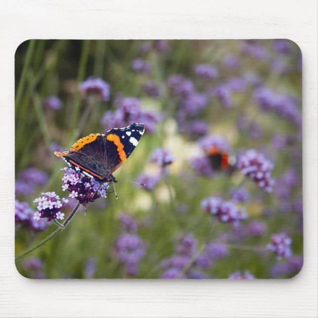 Roter Admirals-Schmetterling Mousepad (Vorne)