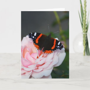 Roter Admiralschmetterling Karte