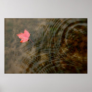 Roter Ahorn Floating Poster