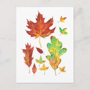 Roter Ahorn und goldene Eichenblätter Herbst-Aquar Postkarte