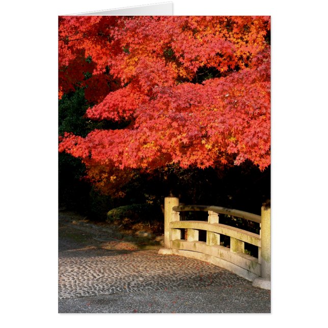 Roter Ahornbaum und Japanische Brücke (Vorne)