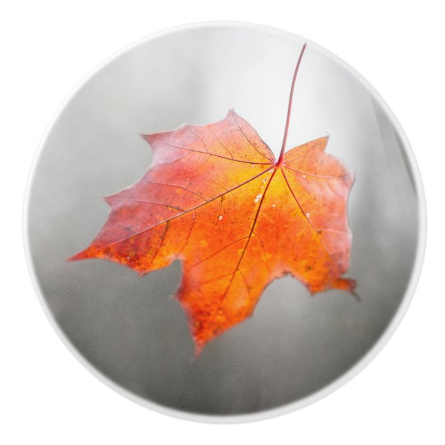 Roter Ahornleaf - Velvet Herbst Keramikknauf (Vorderseite)
