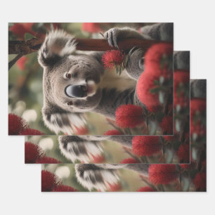 Roter Banksienbaum mit Koala-Bär, Geschenkpapier Set