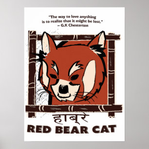 Roter Bärenkatze Poster