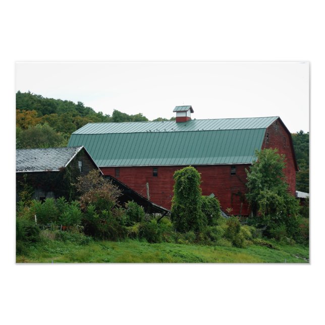 Roter Barn Bliss 19 x 13 Fotografischer Druck (Vorne)