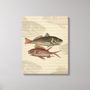 Roter Barsch Fischermann Kunst Leinwanddruck