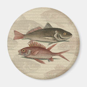 Roter Barsch Fischermann Kunst Magnet