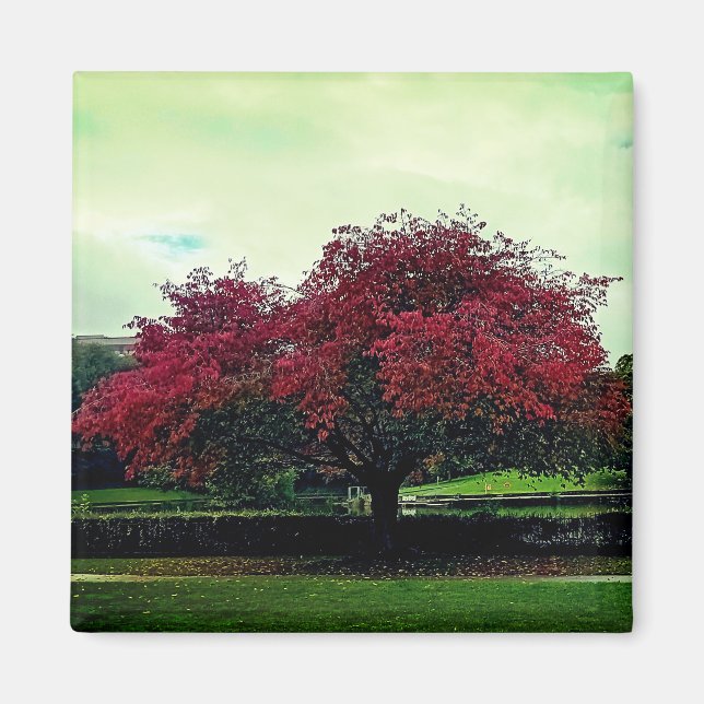 Roter Baum Magnet (Vorne)