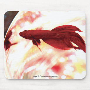 Roter Betta Mousepad