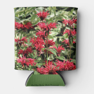 Roter Bienen-Balsam u. Halo-Hartriegel Dosenkühler