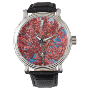 Roter Blätterbaum im Herbst Armbanduhr