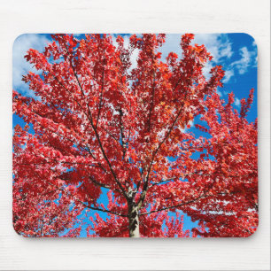Roter Blätterbaum im Herbst Mousepad