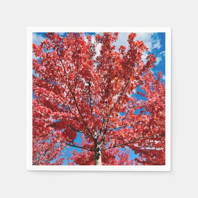 Roter Blätterbaum im Herbst Serviette (Vorderseite)