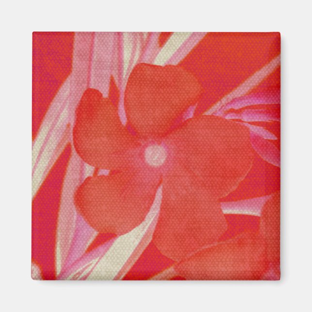 Roter Blumen-Magnet Magnet (Vorne)
