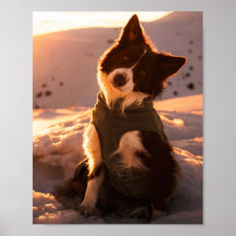 Roter Border Collie in schneebedeckten Bergen bei Poster