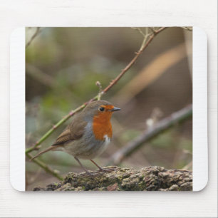 Roter Brustvogel Mousepad