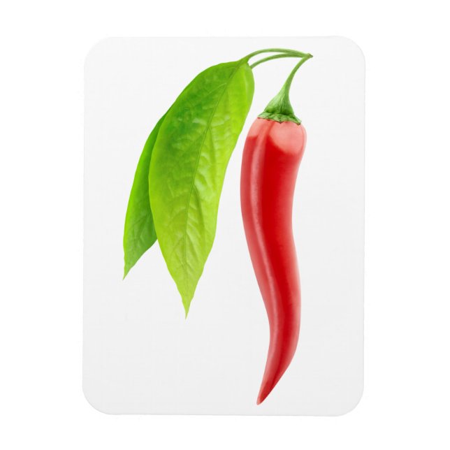 Roter Chili Magnet (Vertikal)
