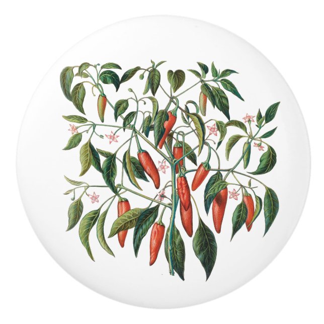 Roter Chili Paprikaschoten Botanischer Rundknochen Keramikknauf (Vorderseite)