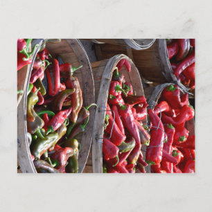 Roter Chili Postkarte