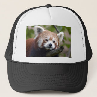 roter Chinese panda4x6 Truckerkappe