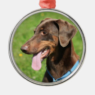 Roter Dobermann Ornament Aus Metall