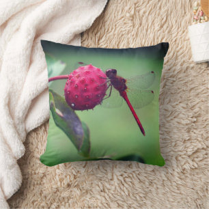 Roter Dragonfly auf Dogwood Frucht Nah Kissen