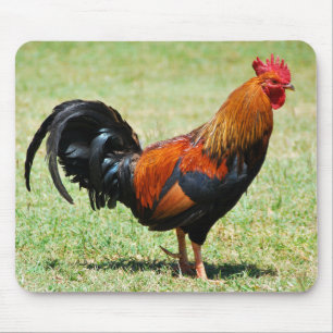Roter Dschungelhühner Kauai Hawaii Mousepad