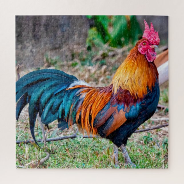 Roter Dschungelvögel (Vertikal)