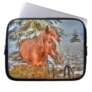Roter Dun Kastanienpferd Eating Hay Equine Foto Laptopschutzhülle