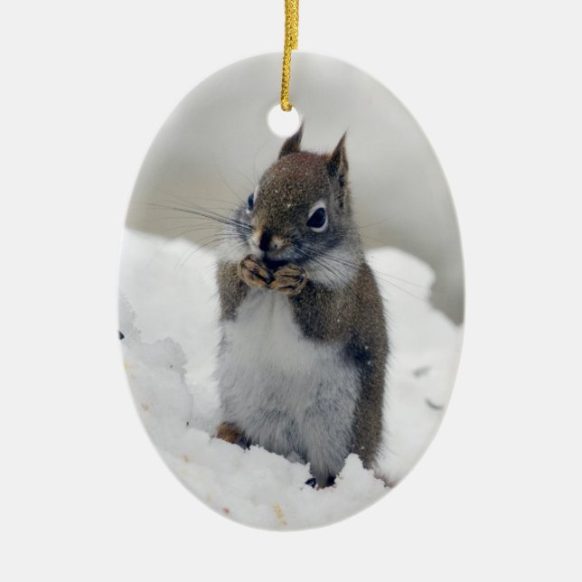 Roter Eichhörnchen-Blauer Winter Keramik Ornament (Vorne)