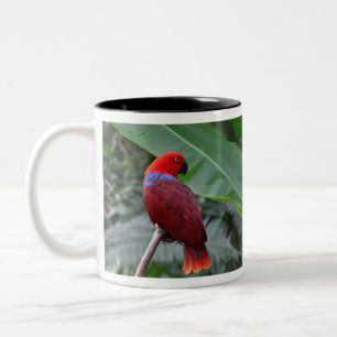 Roter eklektischer Papagei Zweifarbige Tasse