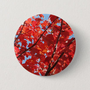 Roter Fall Button