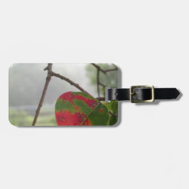 Roter Fall der Blätter in Florida Gepäckanhänger