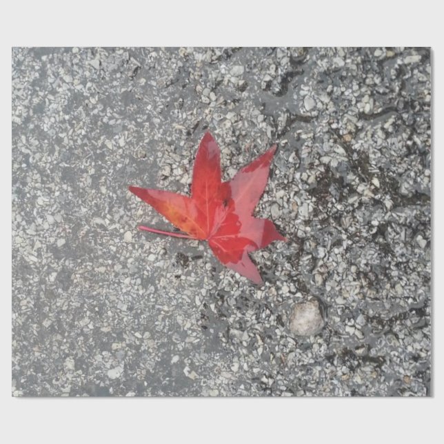 Roter Fall in Regen auf grauer, strukturierter Str Geschenkpapier (Flach)