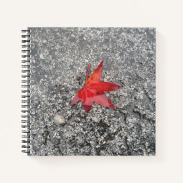 Roter Fall in Regen auf grauer, strukturierter Str Notizbuch