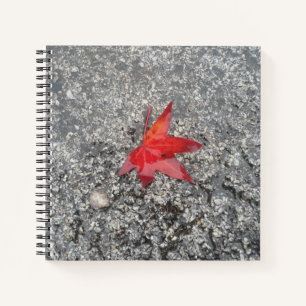 Roter Fall in Regen auf grauer, strukturierter Str Notizbuch