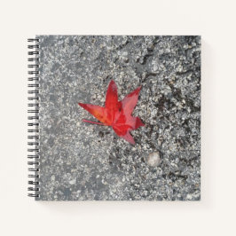 Roter Fall in Regen auf grauer, strukturierter Str Notizbuch