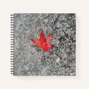 Roter Fall in Regen auf grauer, strukturierter Str Notizbuch