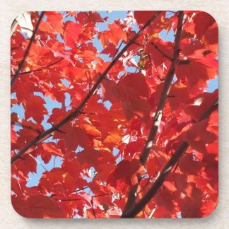 Roter Fall Untersetzer