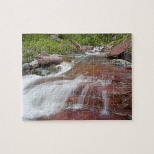 Roter Felsen im Baring Creek im Glacier National