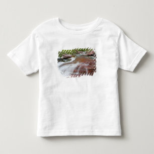 Roter Felsen im Baring Creek im Glacier National Kleinkind T-shirt