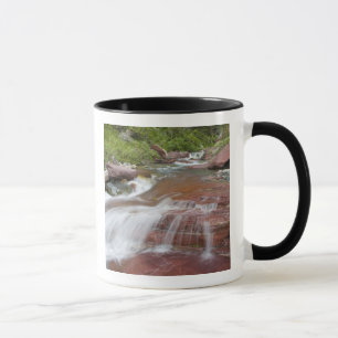 Roter Felsen in Baring Creek im Glacier National Tasse