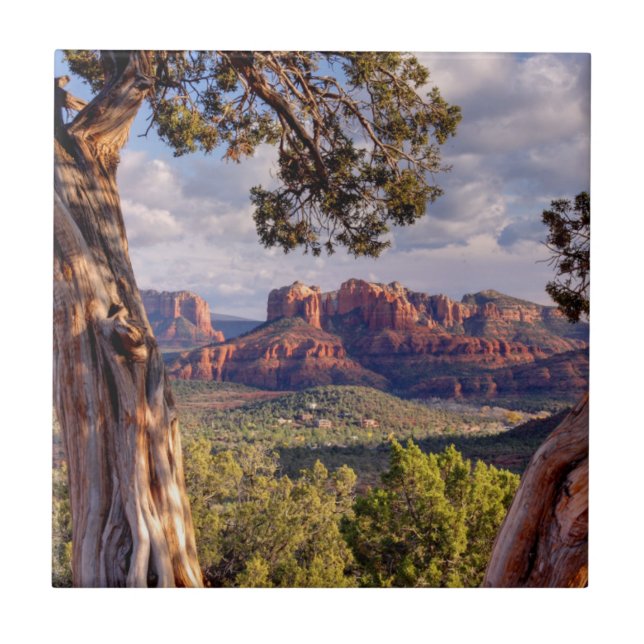 Roter Felsen | Sedona Arizona Fliese (Vorderseite)