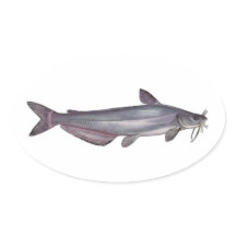 Roter Fisch