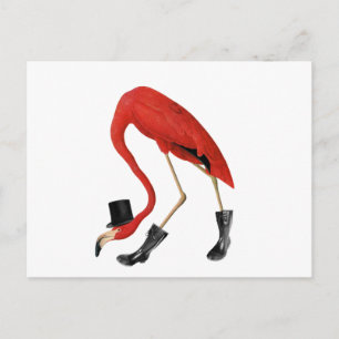 Roter Flamingo im Hut Postkarte