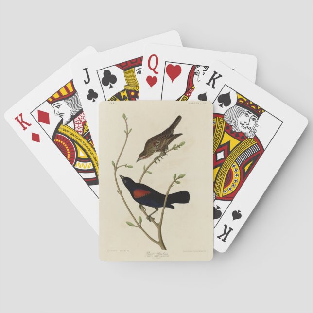 Roter Flügel Blackbird - Audubons Vögel in Amerika Spielkarten (Rückseite)