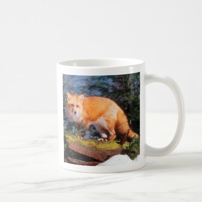 Roter Fox auf einem log Kaffeetasse (Rechts)